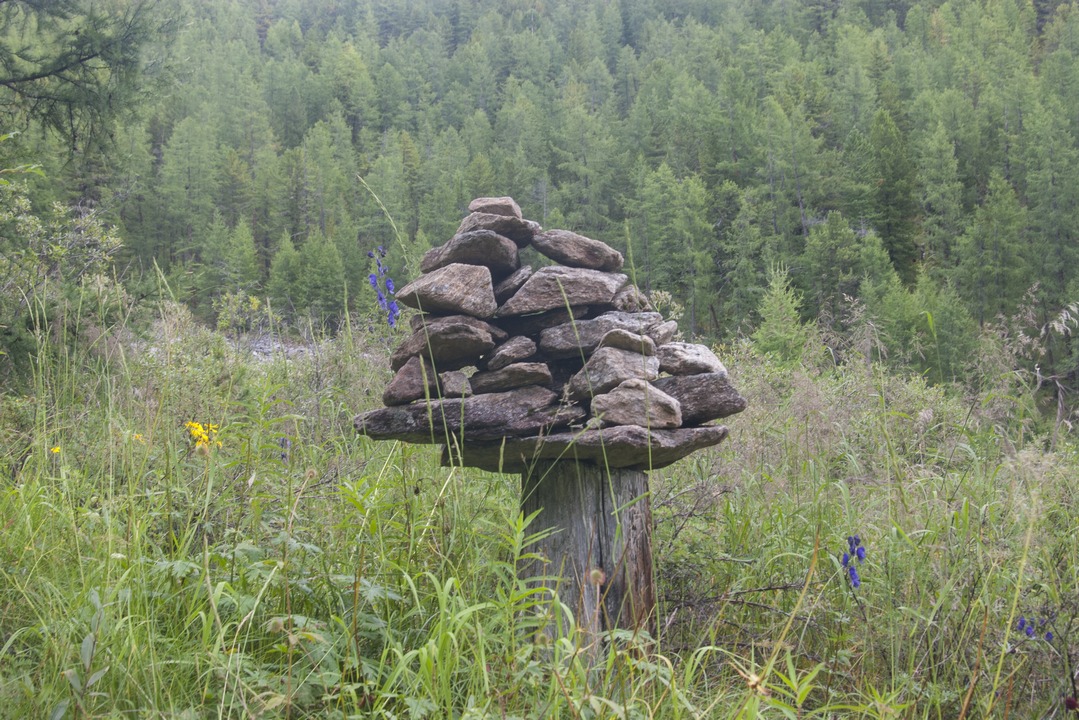 ��� ������� ����� � ������� �����