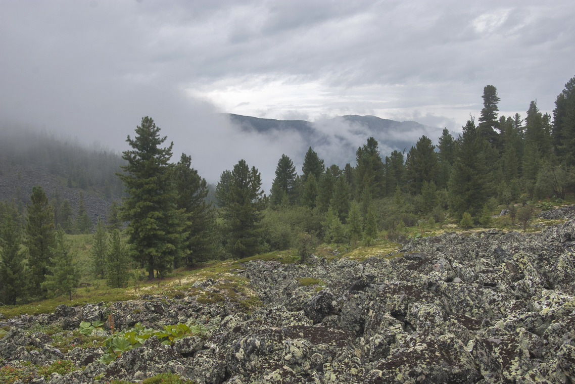 �����-������