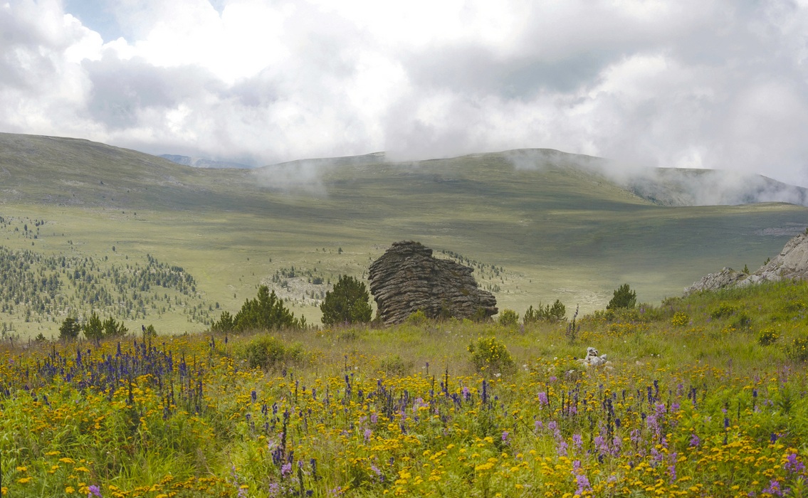 �������� �������