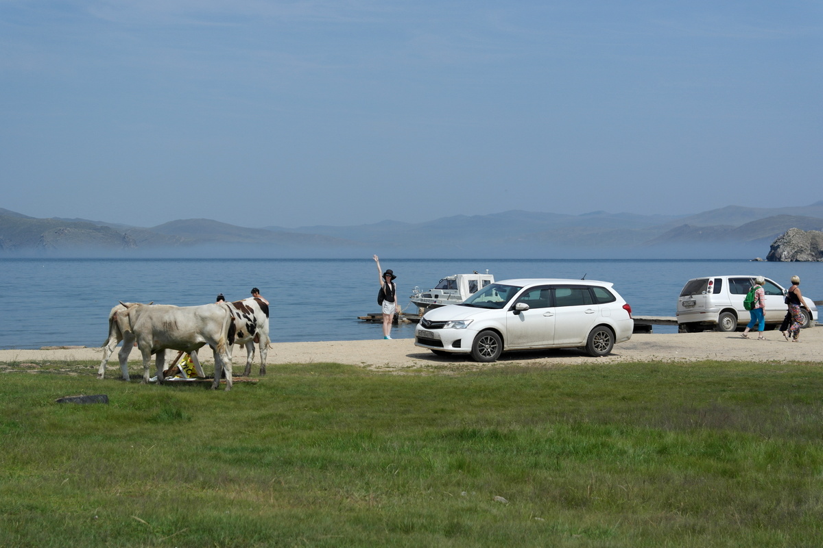 ��� ���������: ����, �.�., ������, ����������, ������, ����