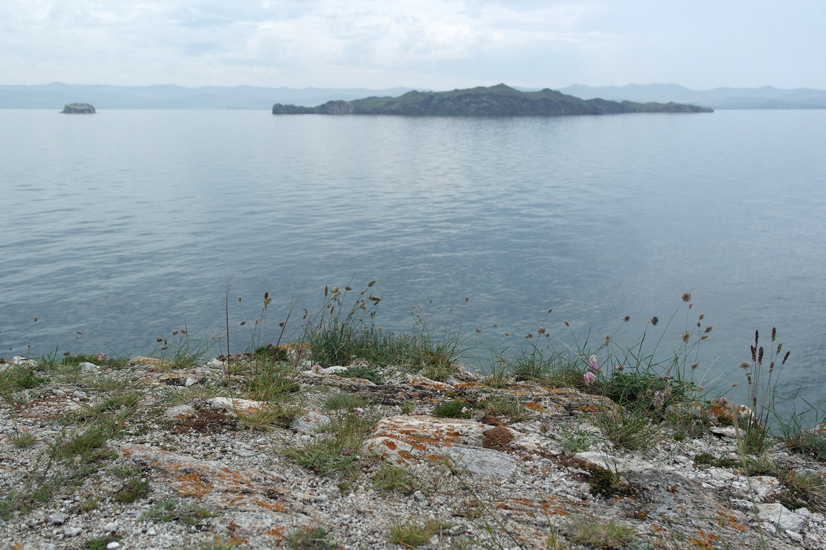 ������� �����-����� � �������� � ���� �����-�����