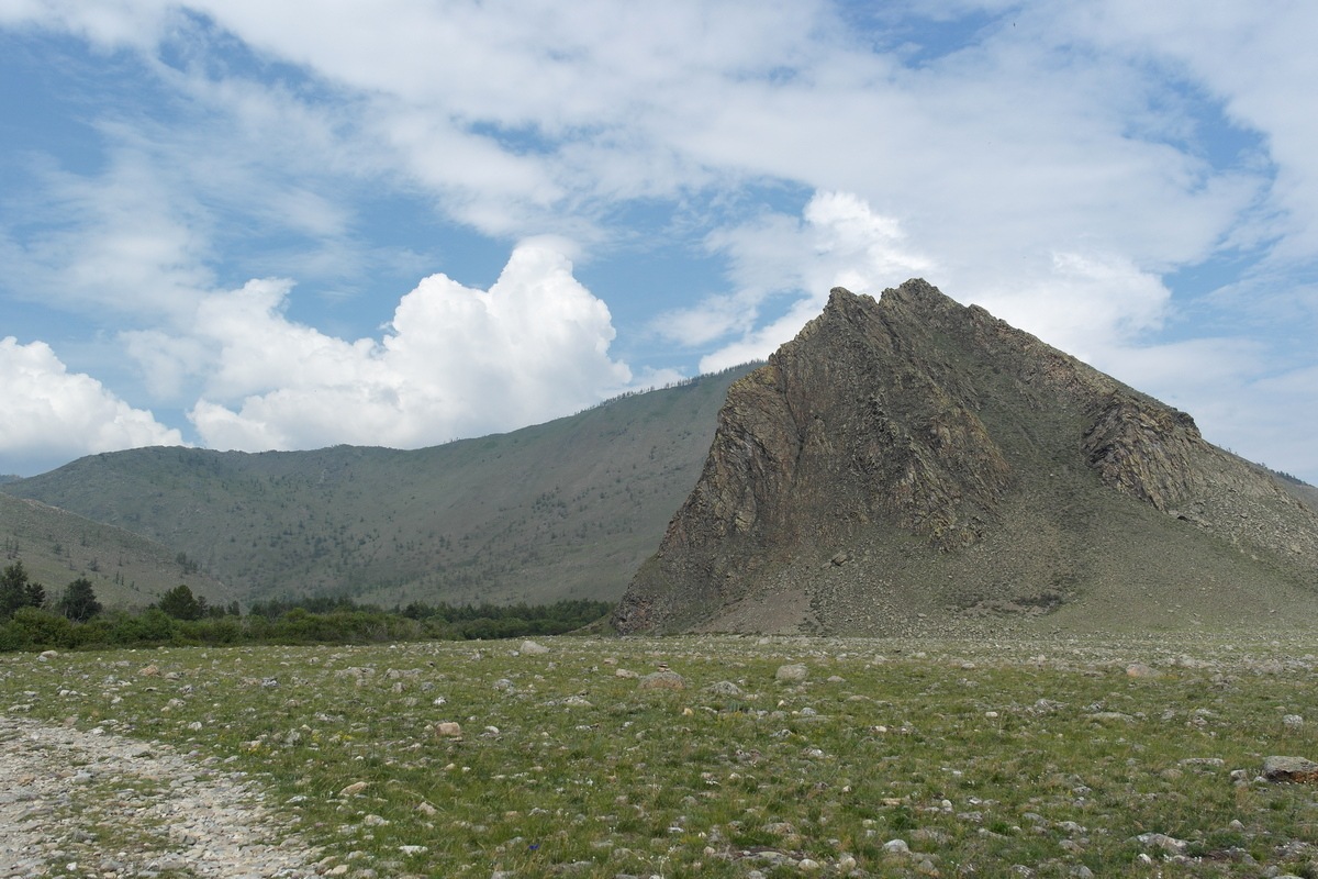 �������� ������ �����