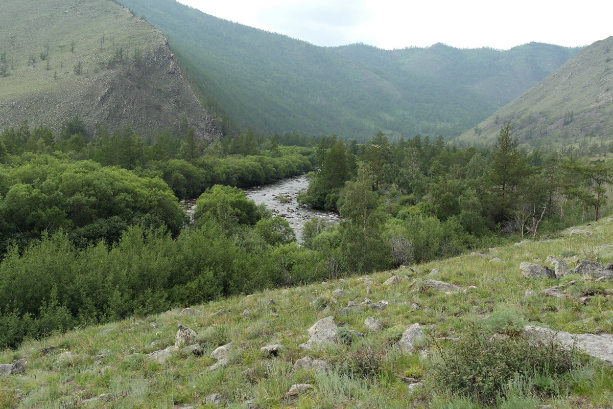 � ������ �����