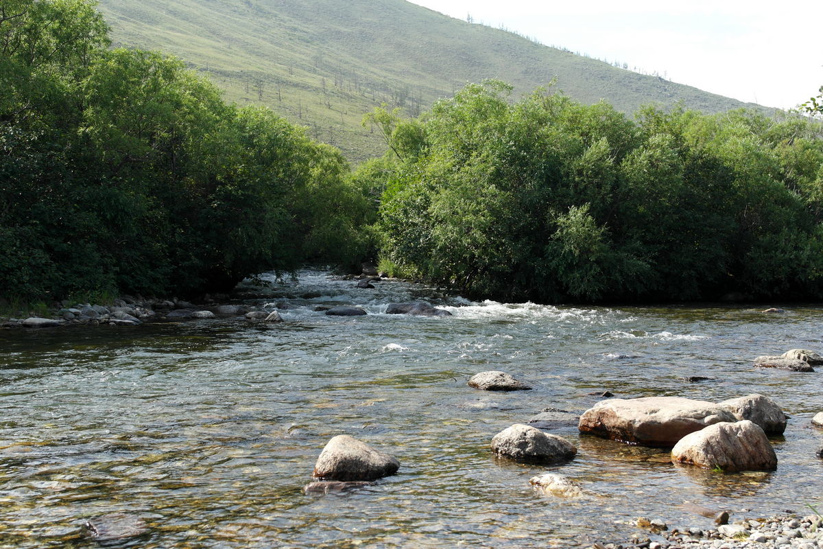 ���� �� ���� ������� ������� ���� �����. ����� ���� ������� ��� �� �������