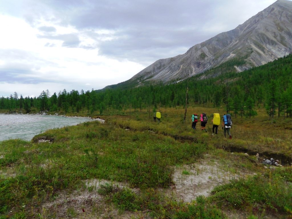 ������ ������� ���-���� ����