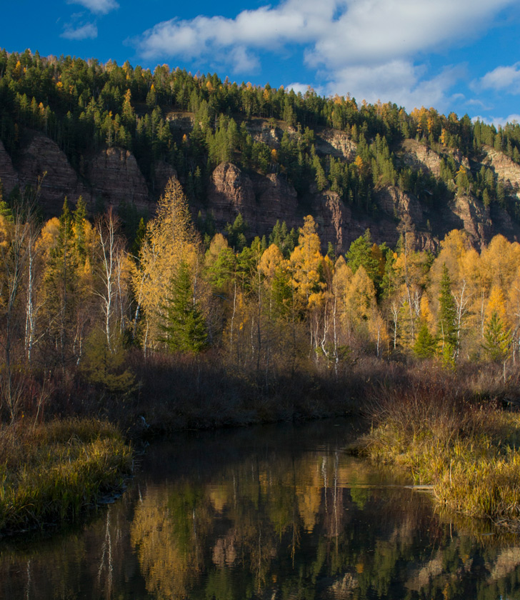 ���� �� �������� �������