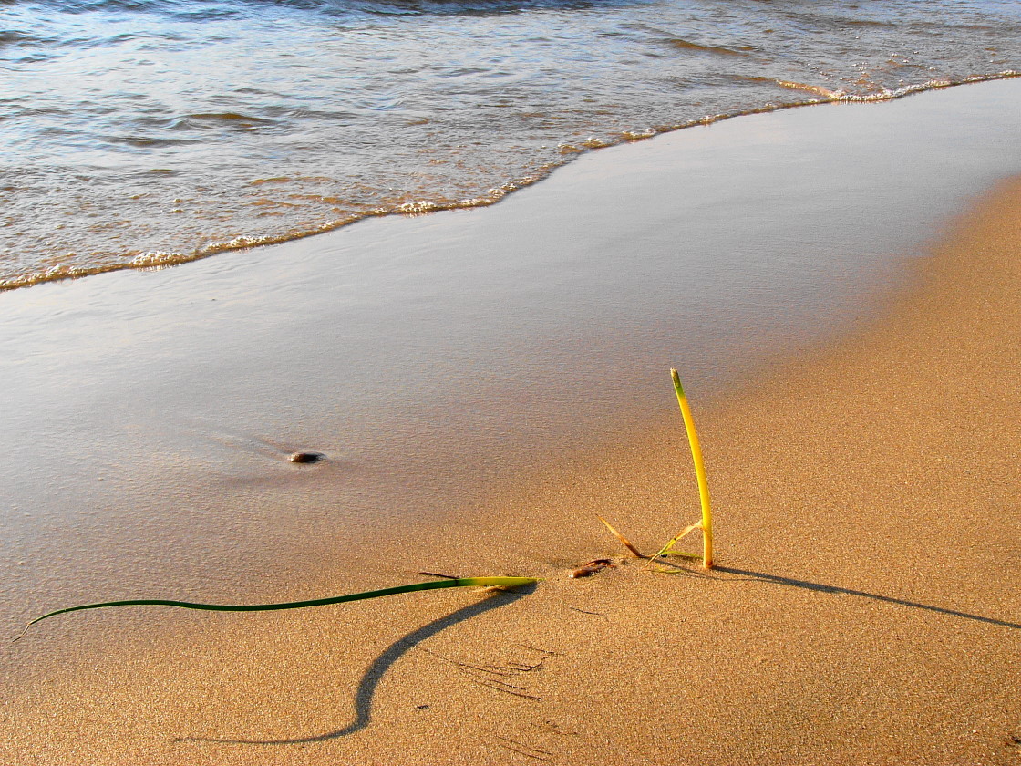 � ��� � ��������� ���� �