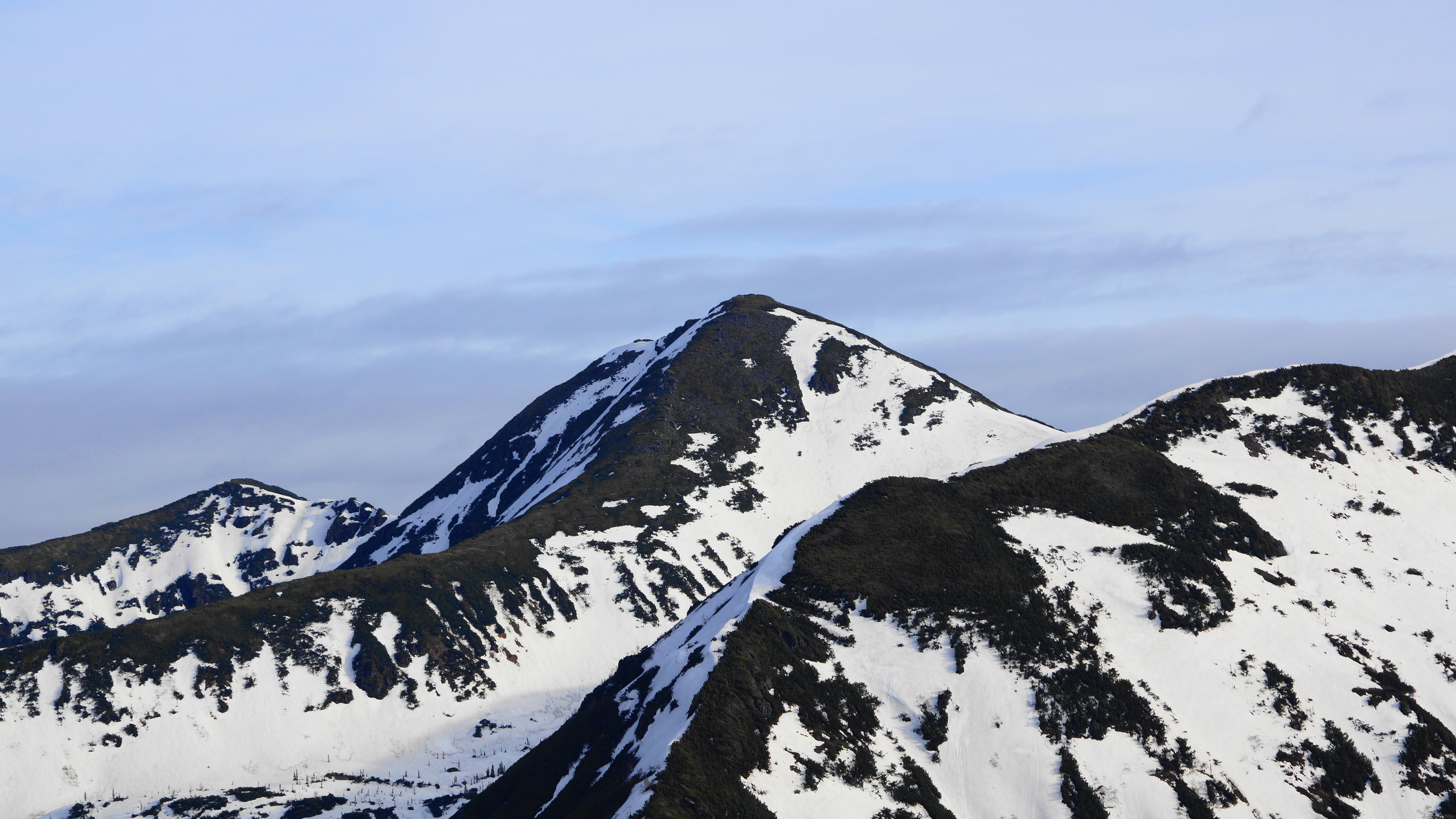 ���� ������