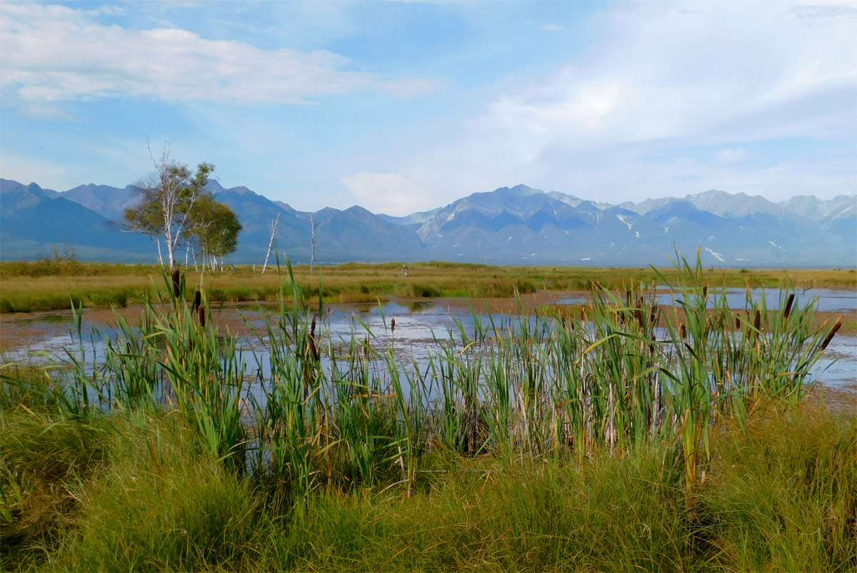 ����� ���� �� ��������