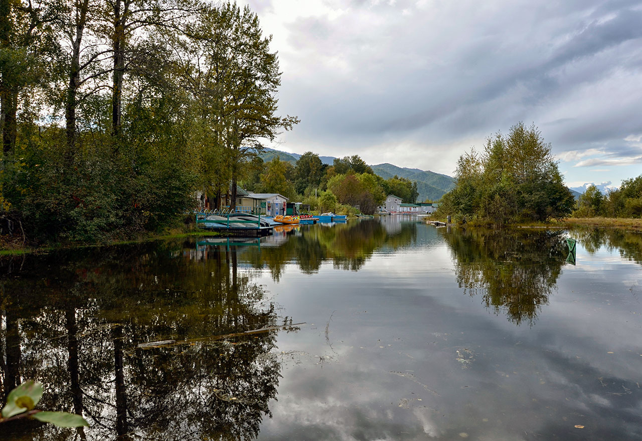 � �������