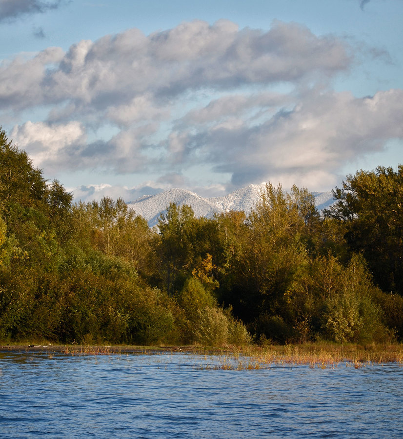 �� ����� � ����