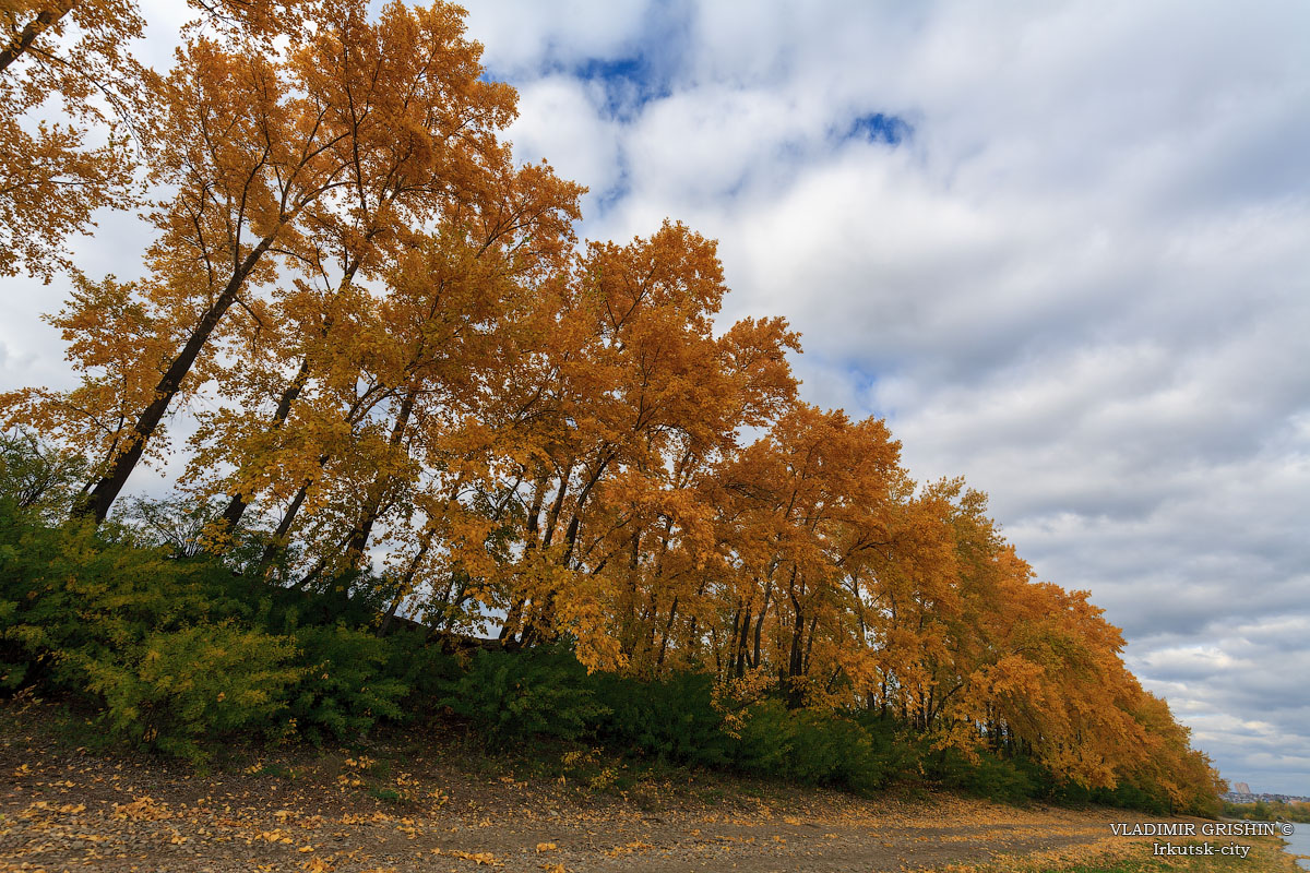 ����� �� ������ ������