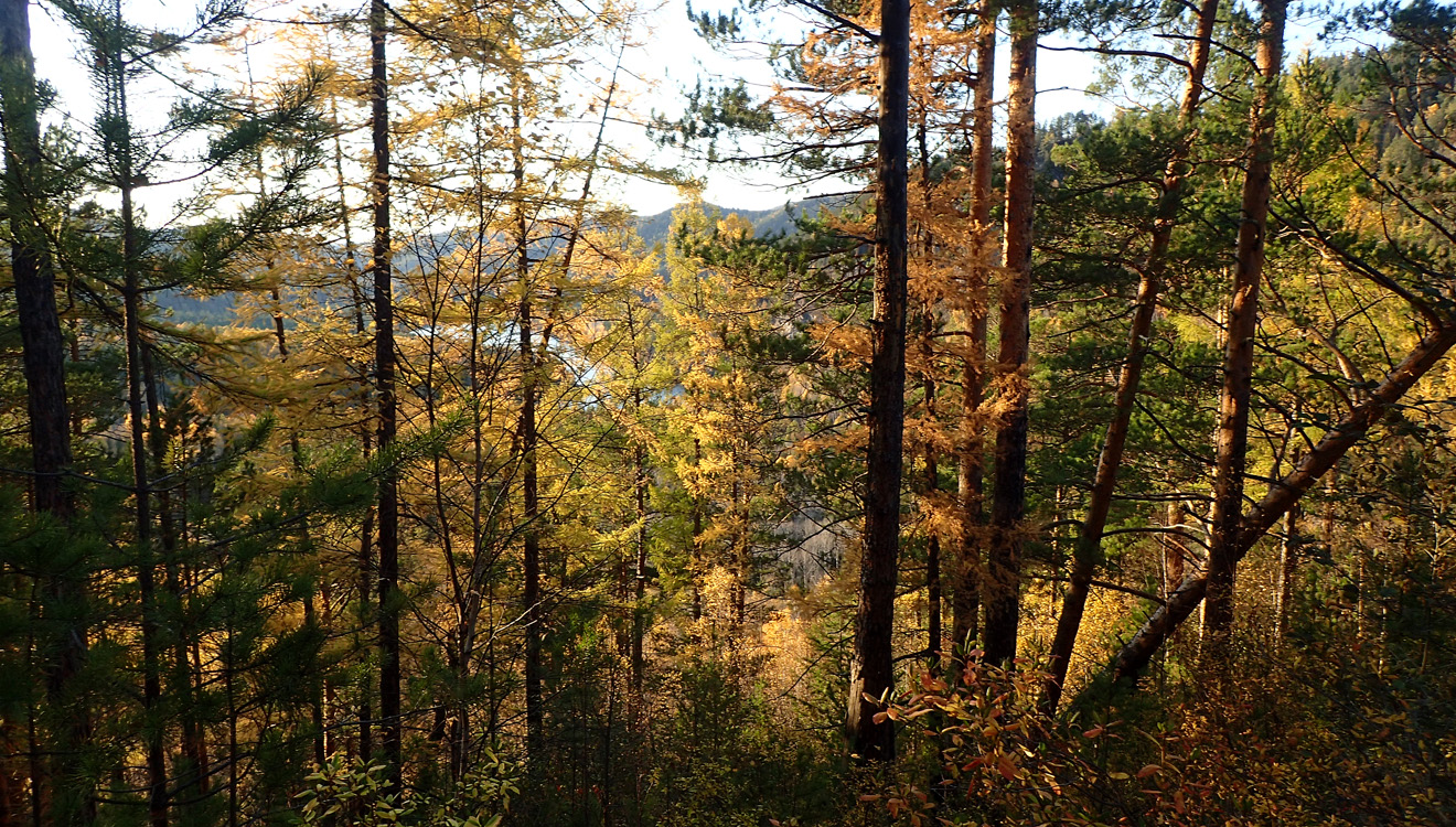 "���������� ����, ���� ����������"