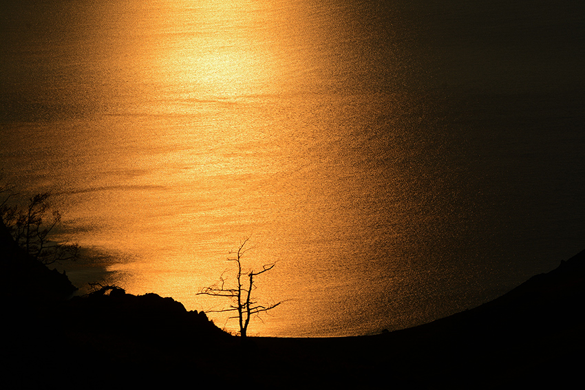 �������� ������ �������