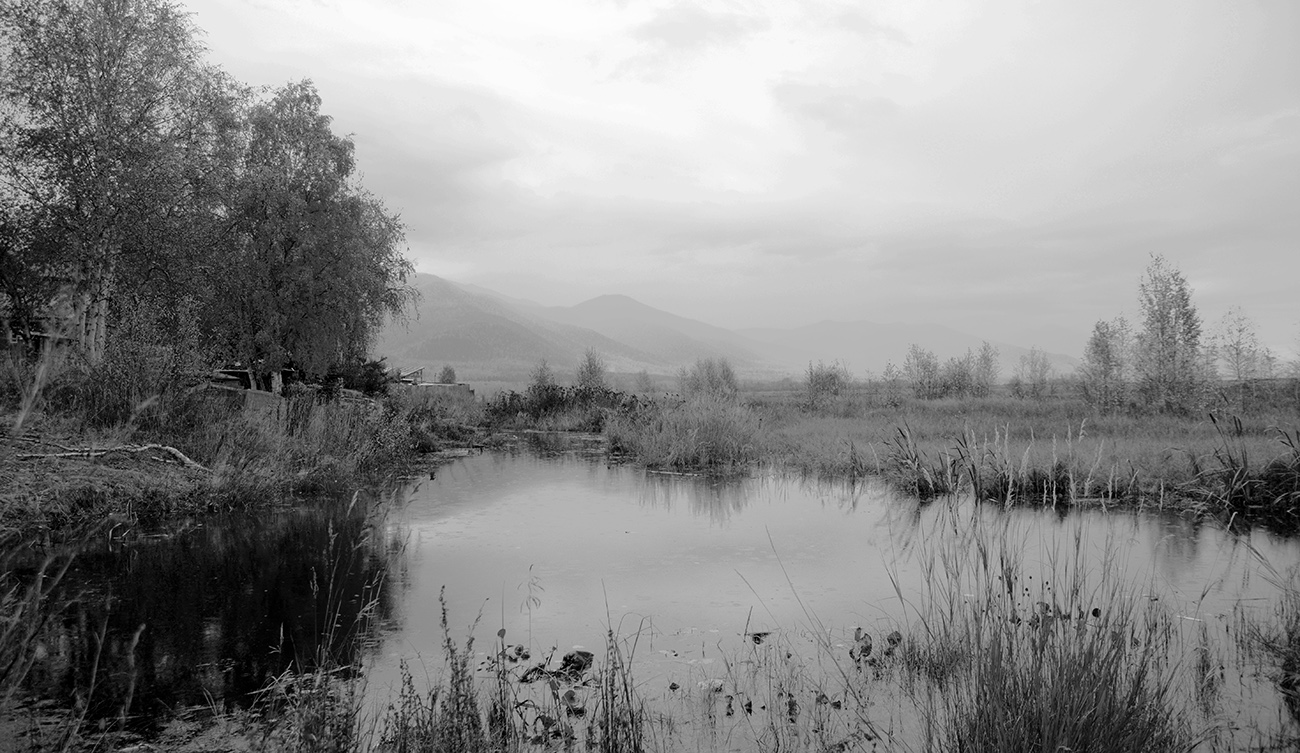 ����������� �������