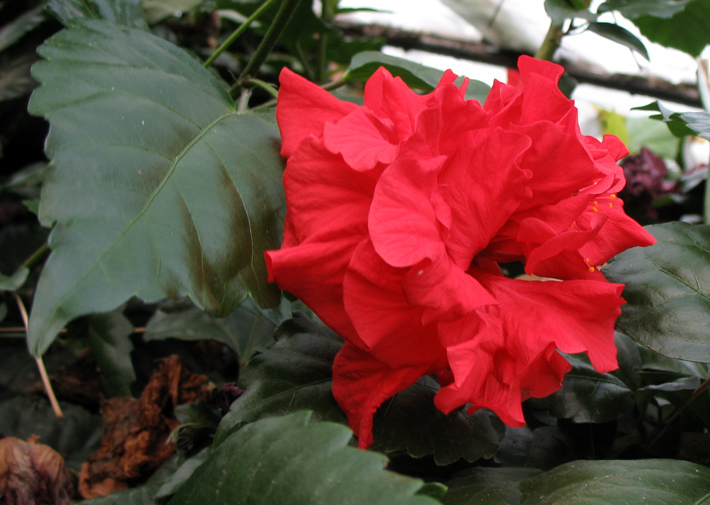 ������ � ������. :)