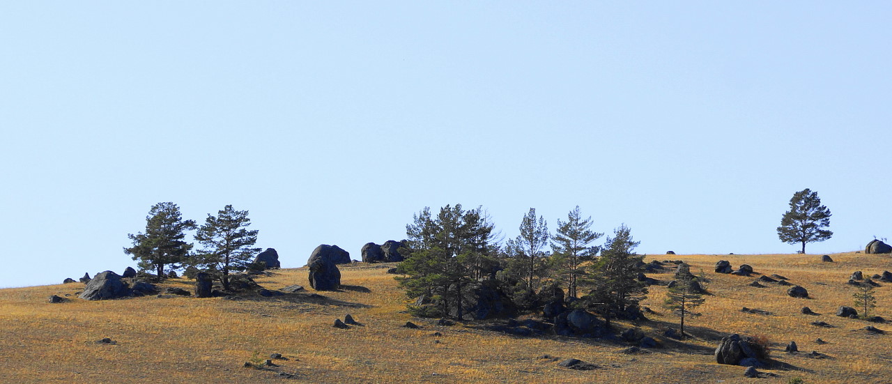 � ������ ������ �