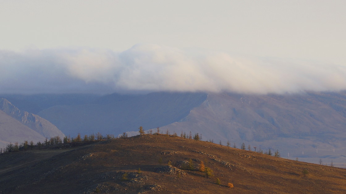 ���������� "������" �