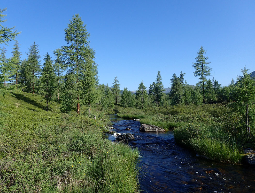 ������ ������ �. �����