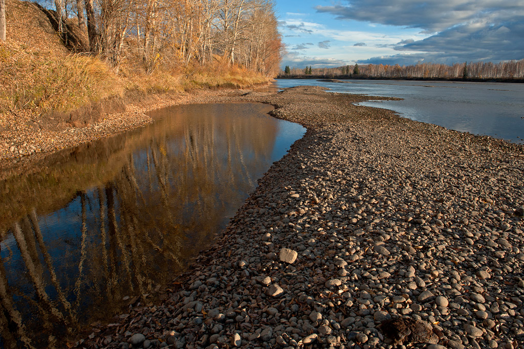 ����� ����� ����