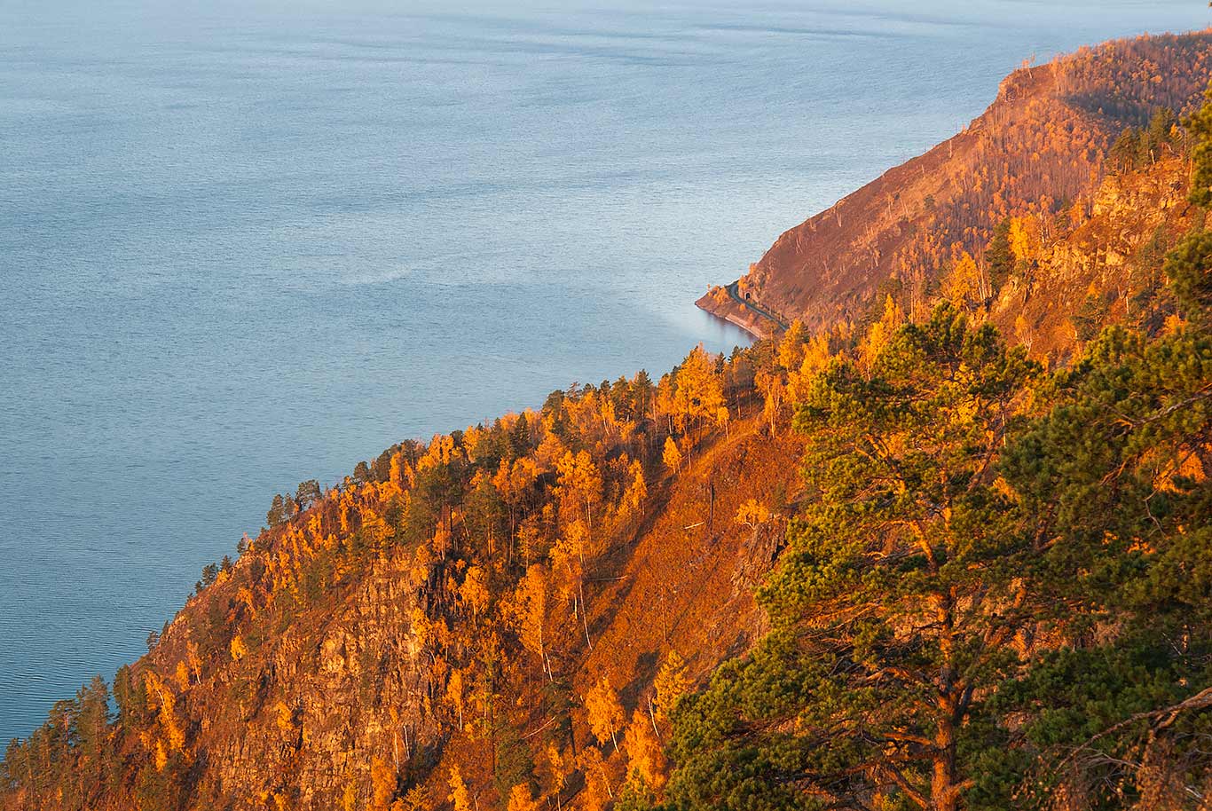 ������� ���������