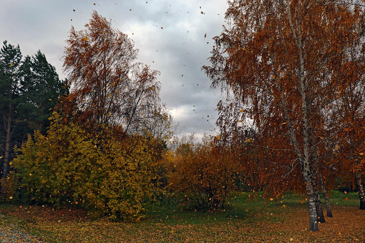 ��������, ��������