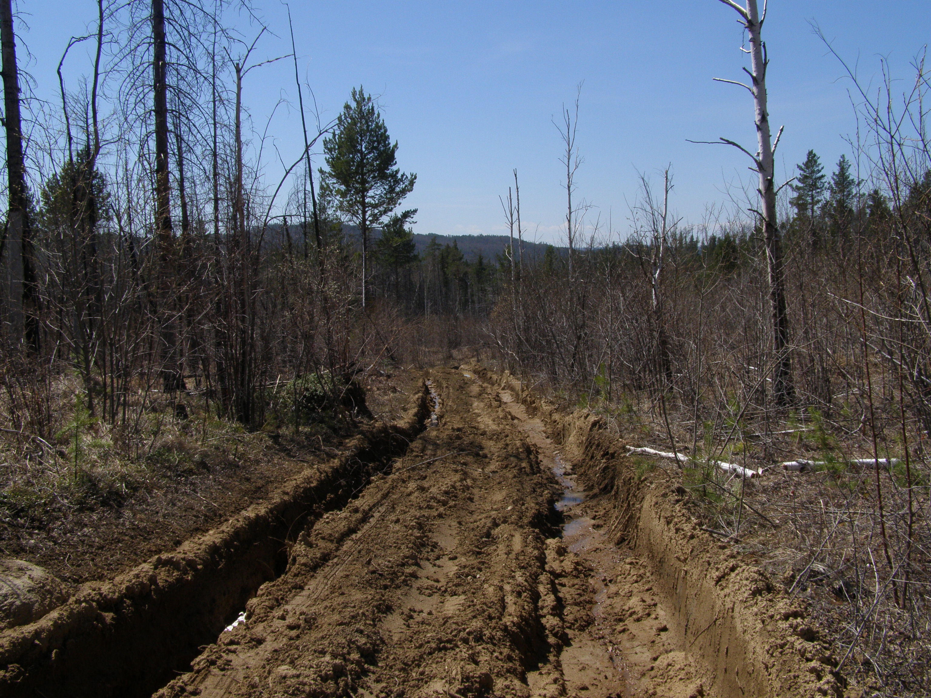 ������ � ������ ����� ���� �������