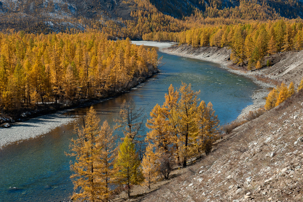 Берега