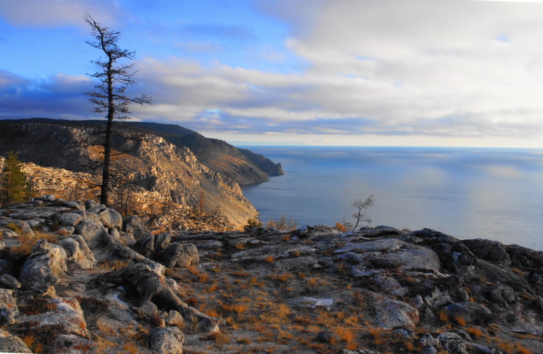 ����� �����