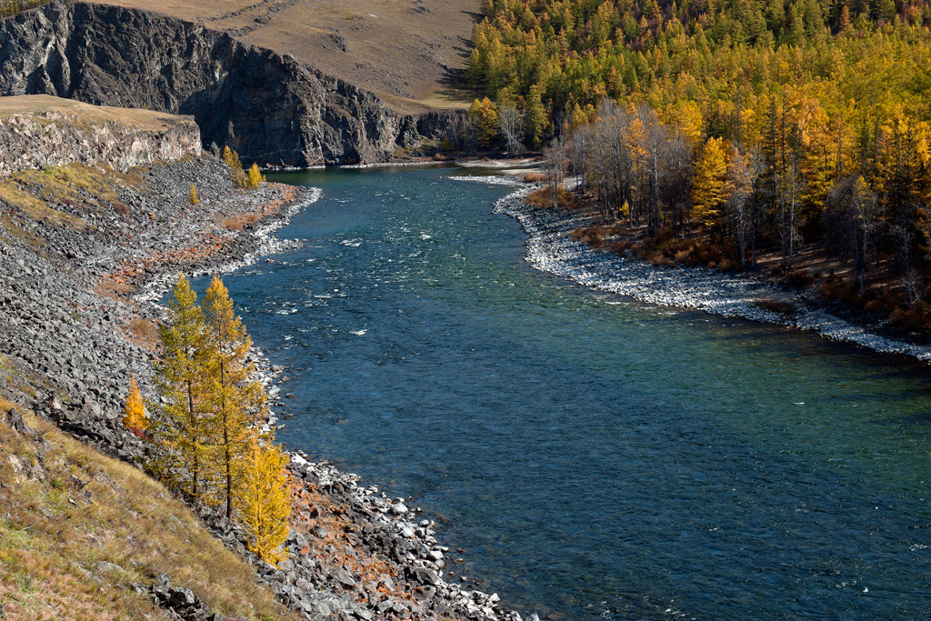 Чистые воды