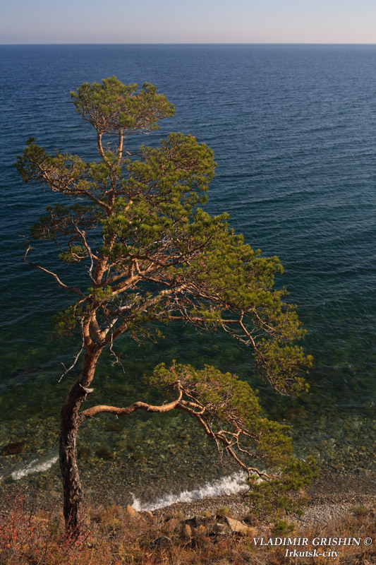 �� ����� "����������� �������"_����4