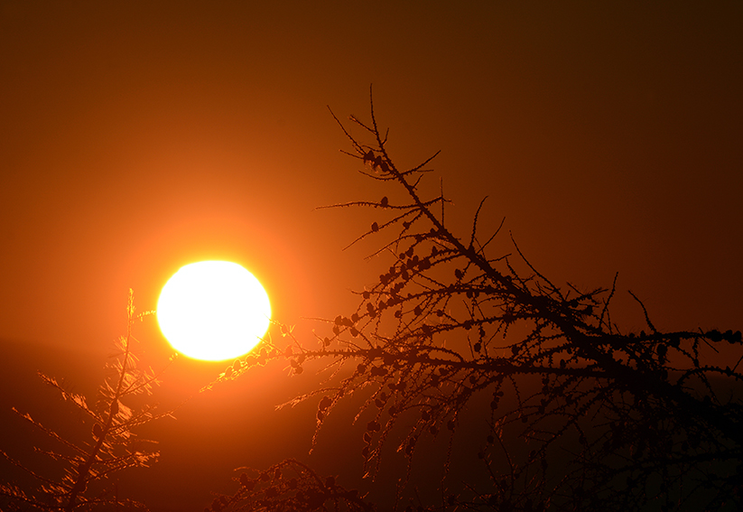 � ������ ��������