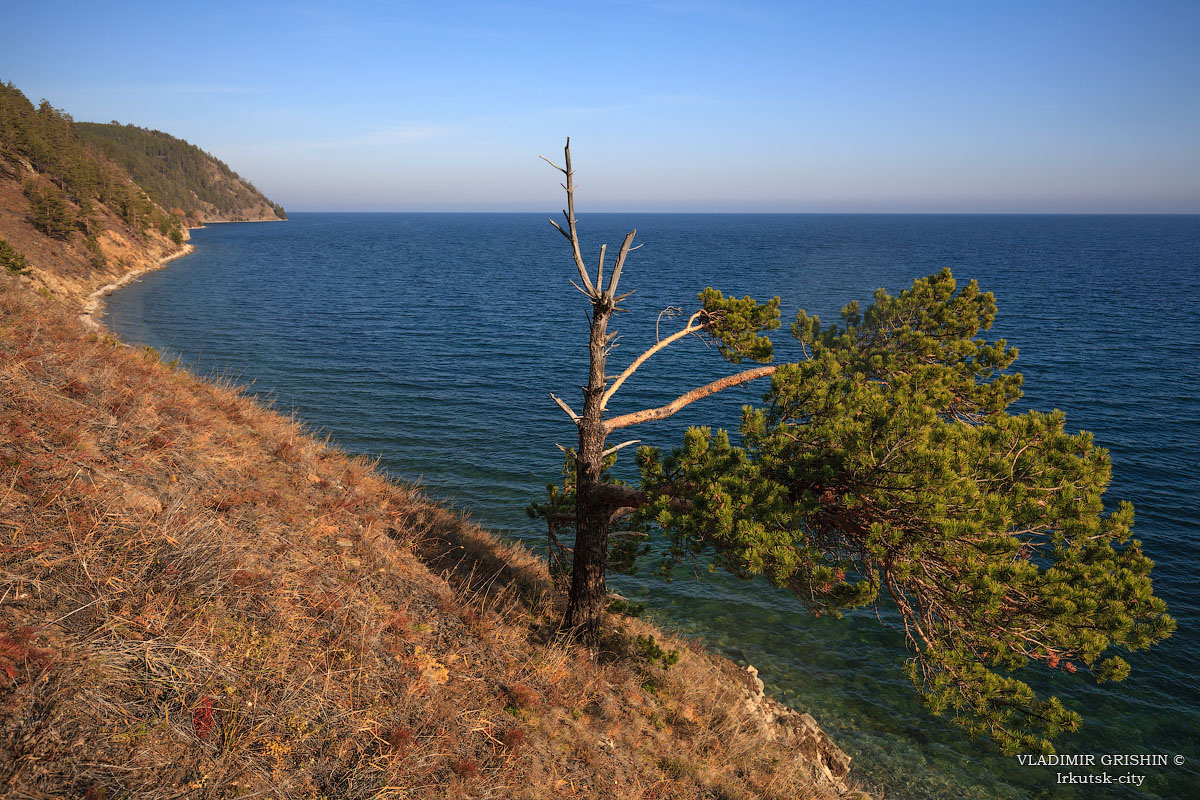 �� ������� �����������