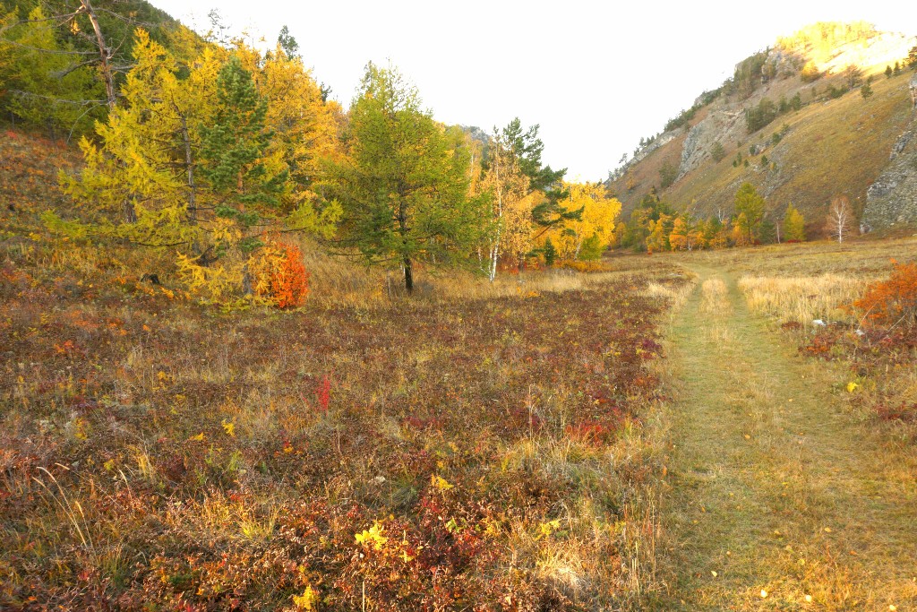 ������������ �� ��������� ���� ��� ����� ��-������� �������