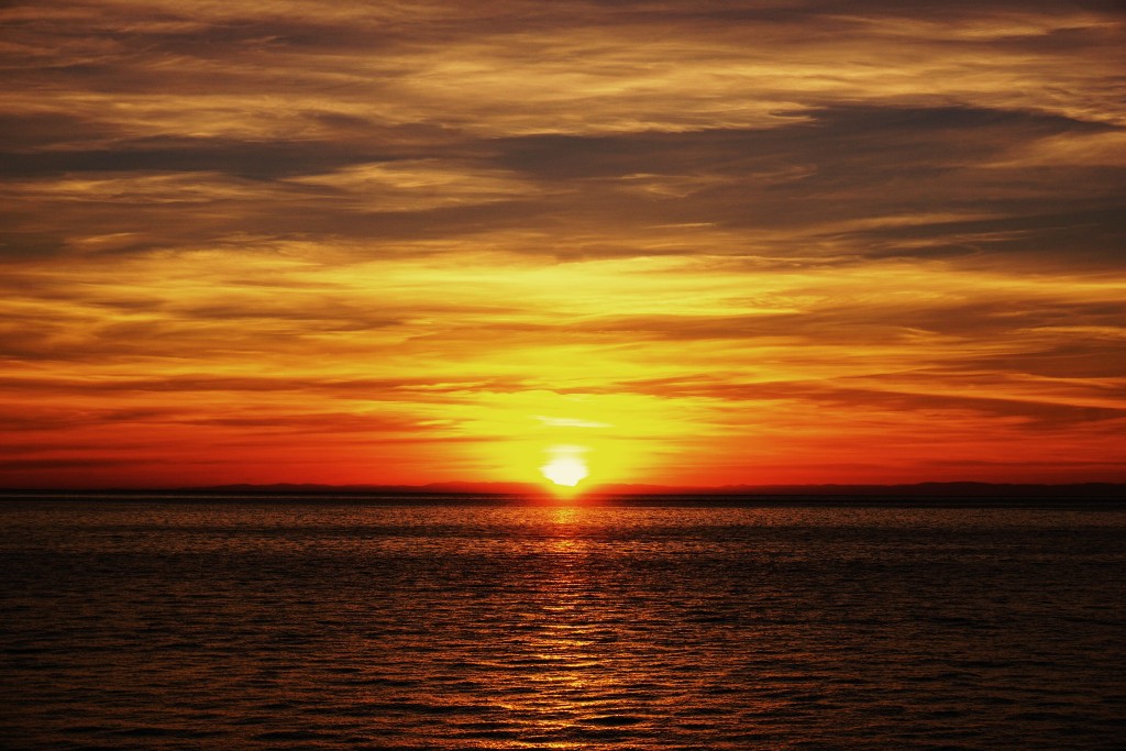 ������...