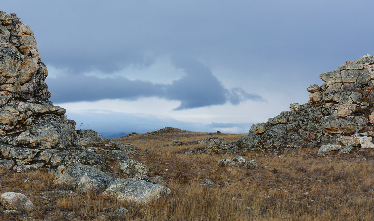 ������������ ���������