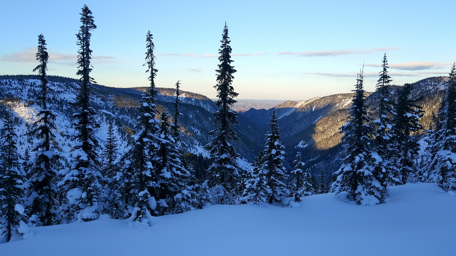 ���! ����!