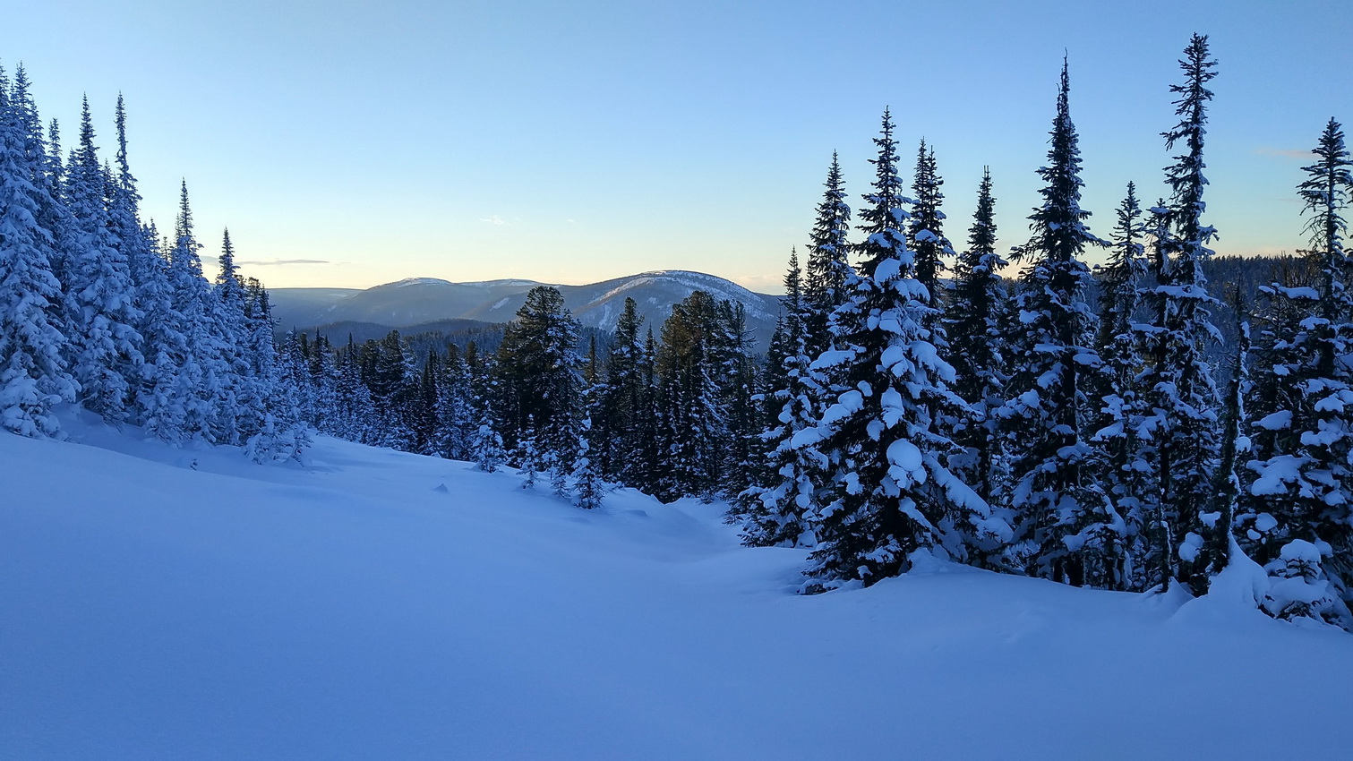 �� �� �� ������