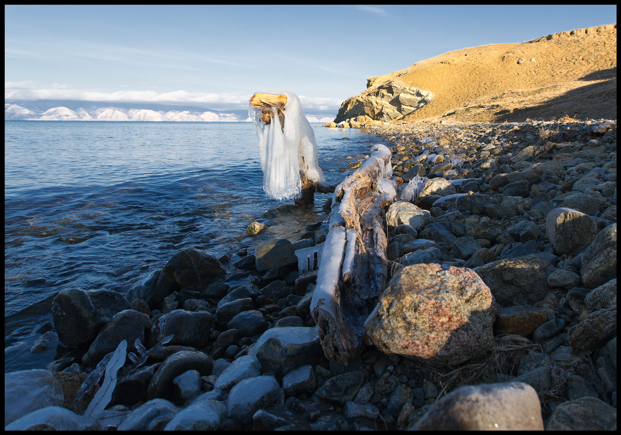 ������� "�������" �������