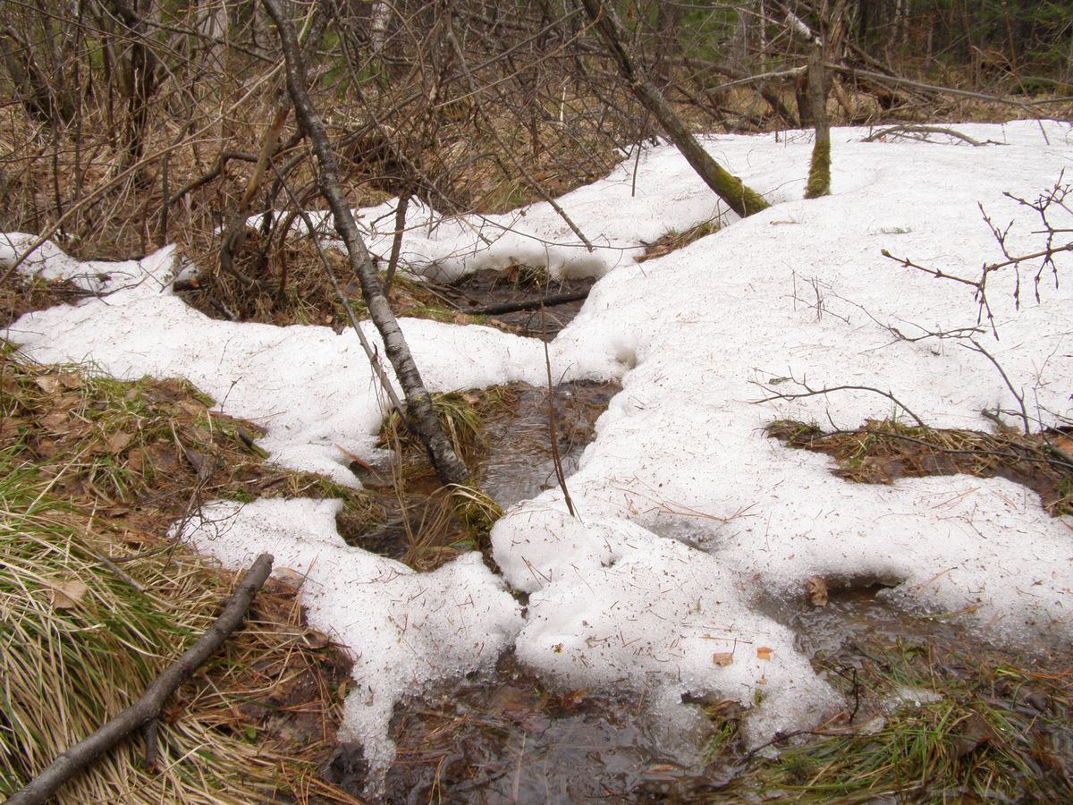 ������� �������