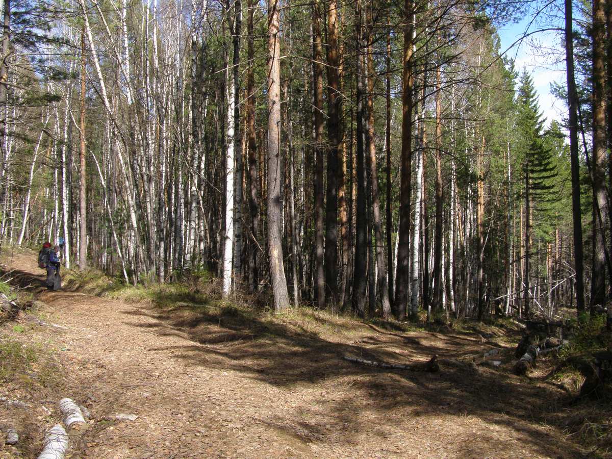 Не свернуть раньше времени…
