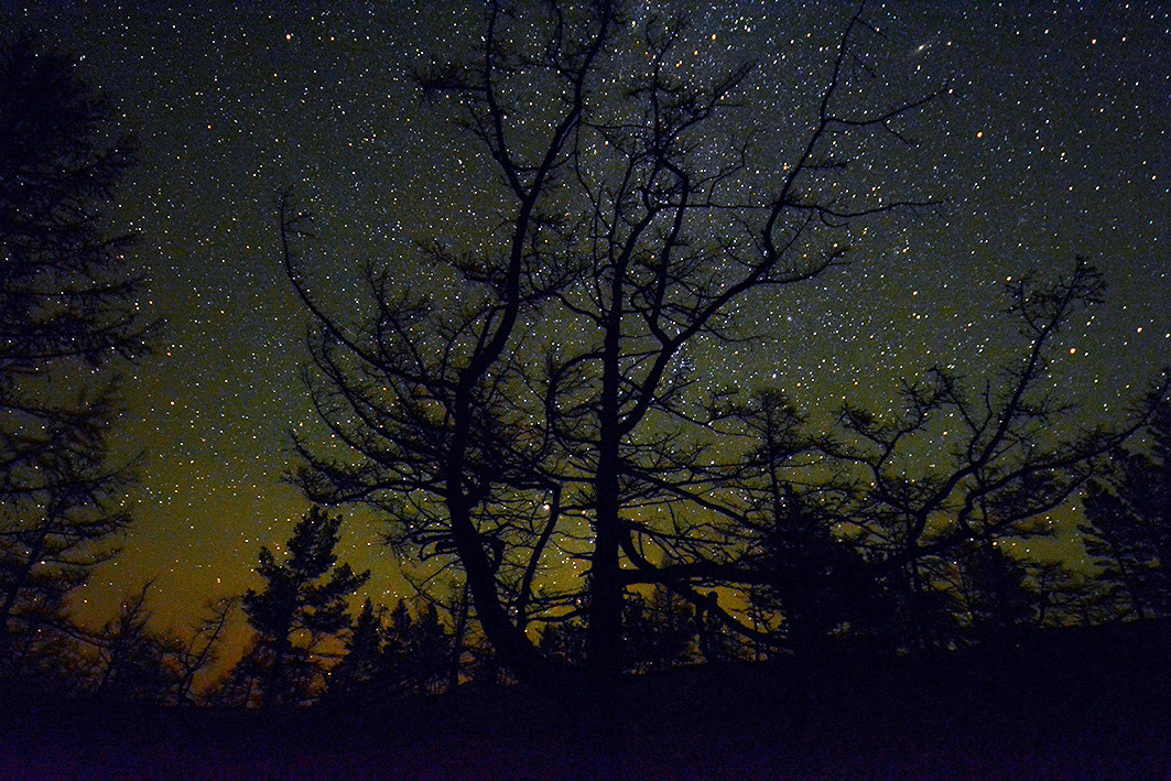 � ������� ���� ��� �������