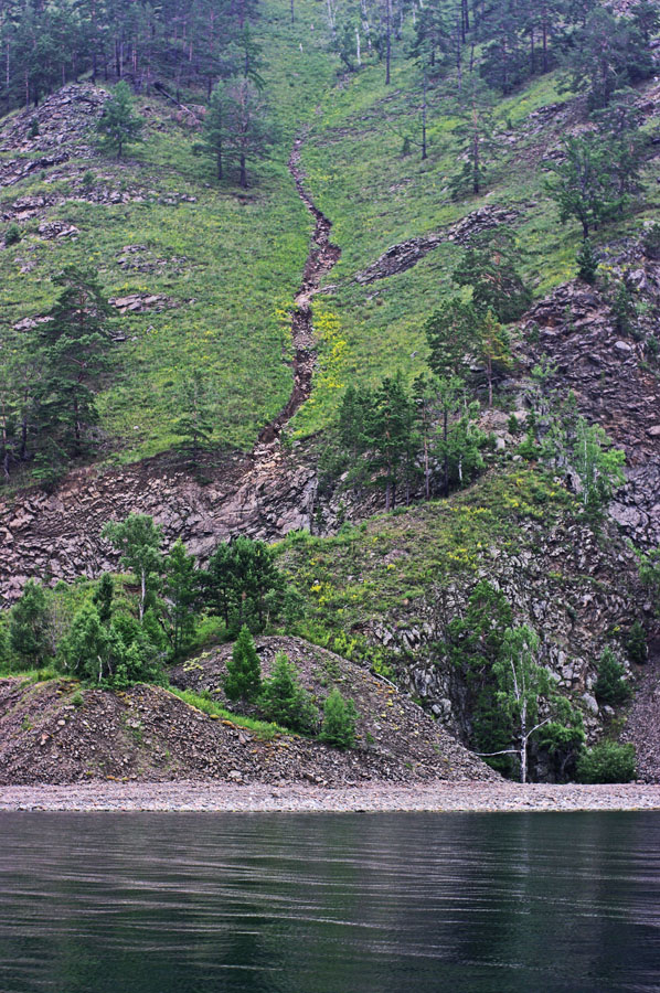 ���� ����� 1