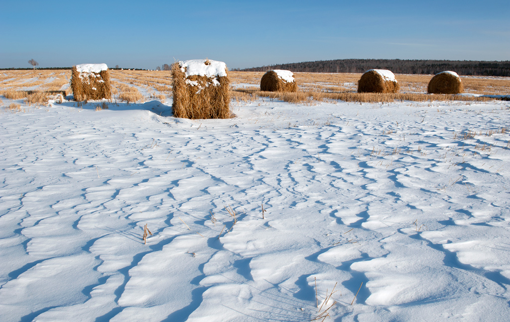 ��� �������� ��������