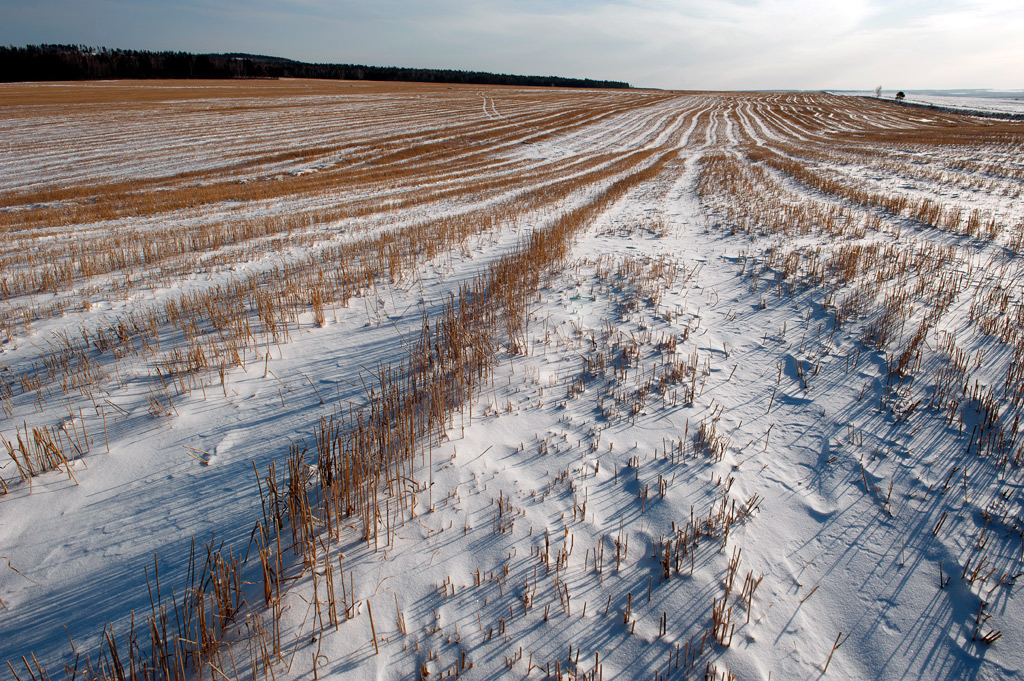 �������� �� ��������