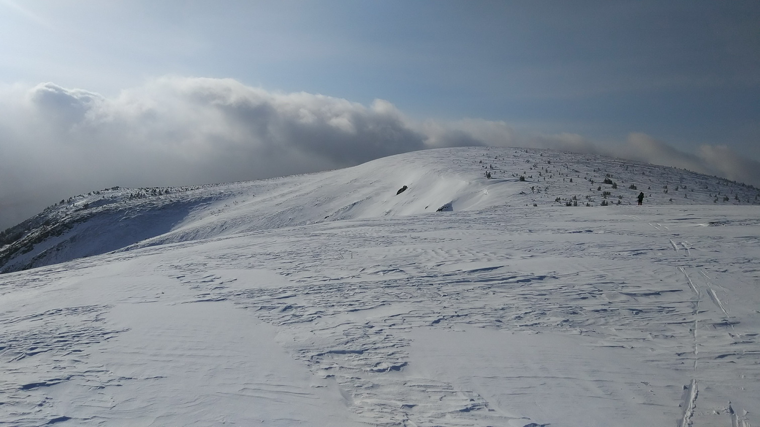 �������� ������