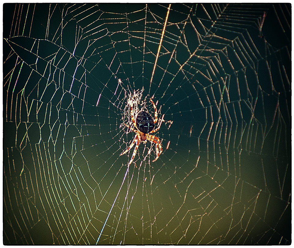   ""