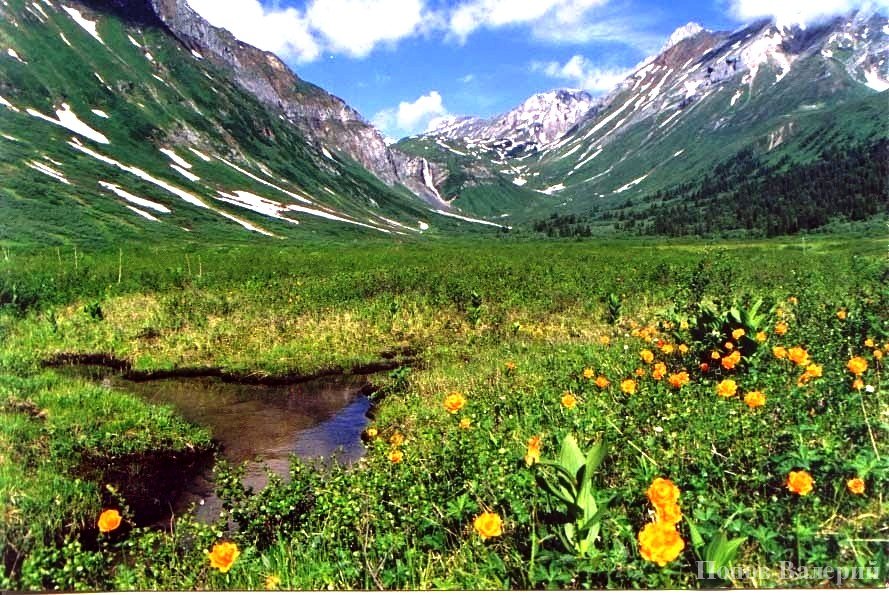 �������� �����