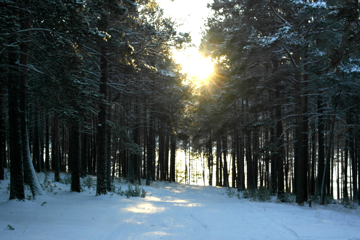 � �������� ���� �� ������ ������