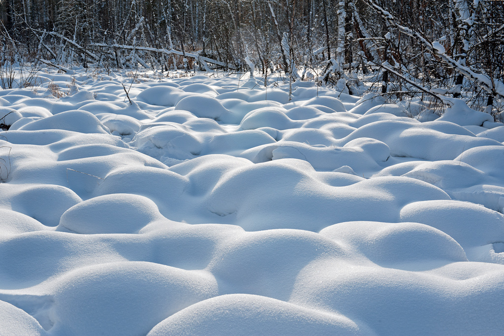 ������ � ��������